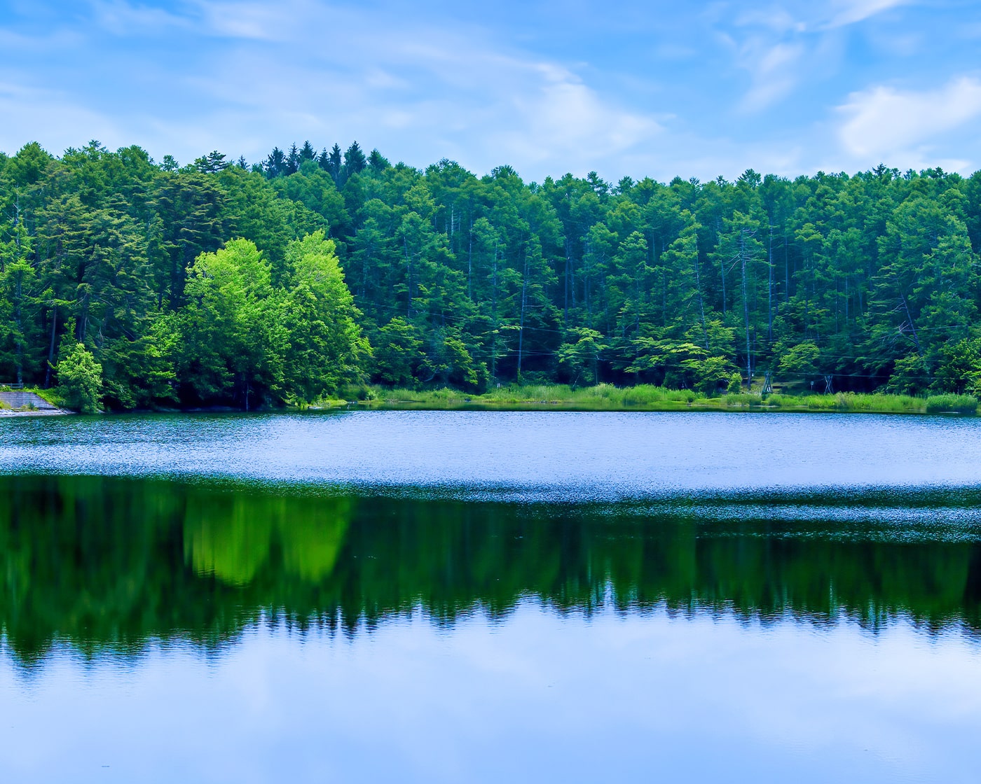 林と湖